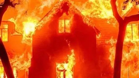 What sparked the deadly California fires: nature or humans? 5 35 - C J Global Newspaper