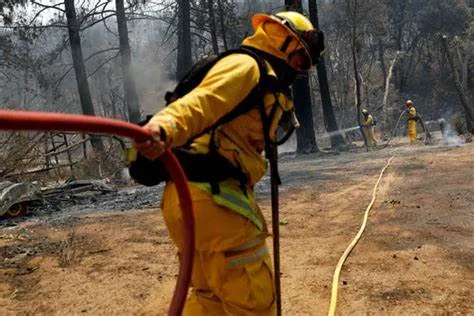 Los Angeles fires … The search for the missing continues 2 6789 - C J Global Newspaper