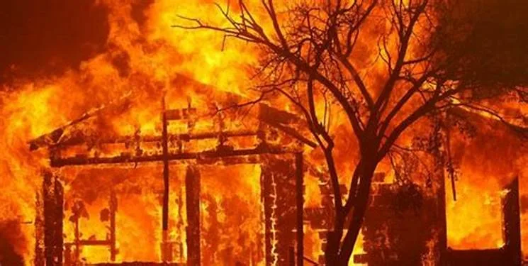 What sparked the deadly California fires: nature or humans? 1 OIP54657 - C J Global Newspaper