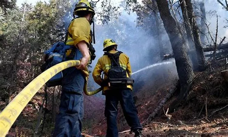 Los Angeles fires … The search for the missing continues 1 OIP568 2 - C J Global Newspaper