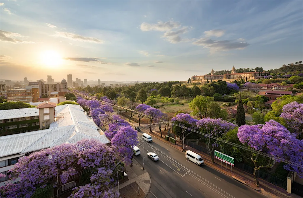 Trump accused Pretoria and ordered his government agencies to prioritize the assistance to the white of South Africans refugee 1 Pretoria 4 - C J Global Newspaper