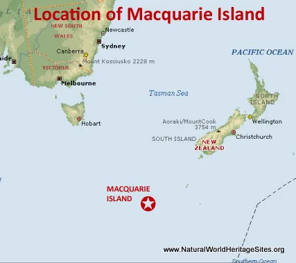 Macquarie Island Hit by Magnitude 6.0 Earthquake 3 image 64 - C J Global Newspaper