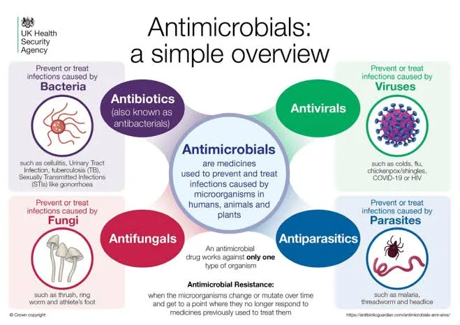 Antimicrobial Resistance Continues to Pose Significant Public Health Challenge 1 IMG 7670 - C J Global Newspaper