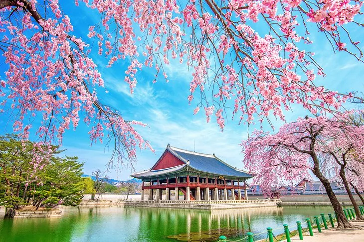Discover the Best Places to Visit in South Korea 3 image 23 - C J Global Newspaper