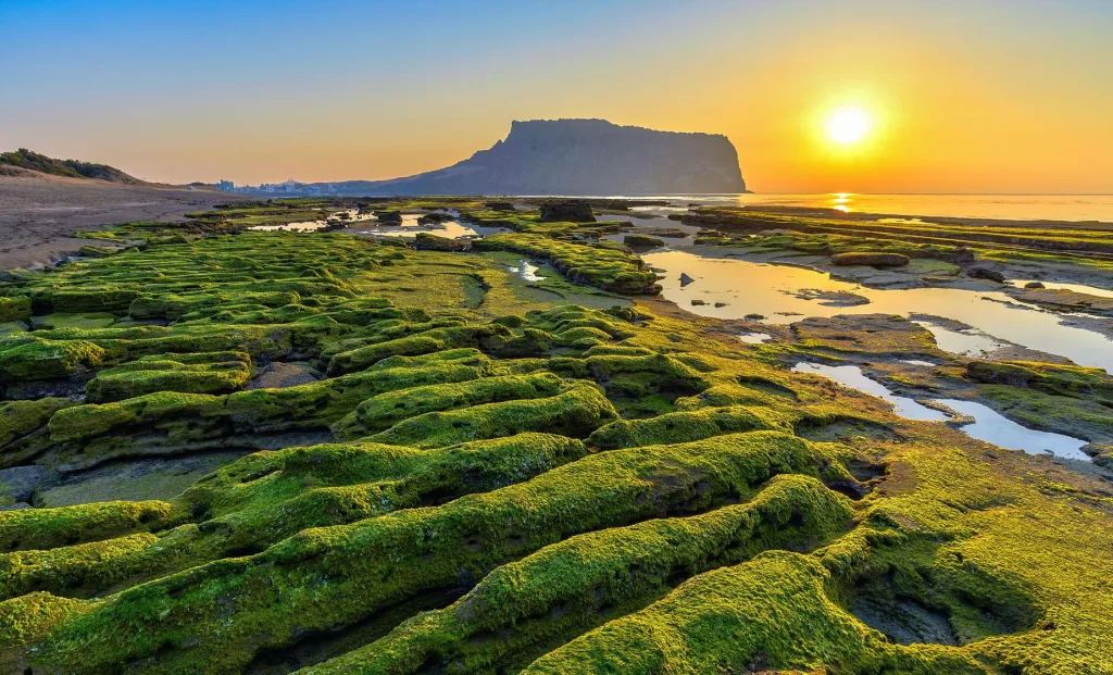 Discover the Best Places to Visit in South Korea 2 image 24 - C J Global Newspaper