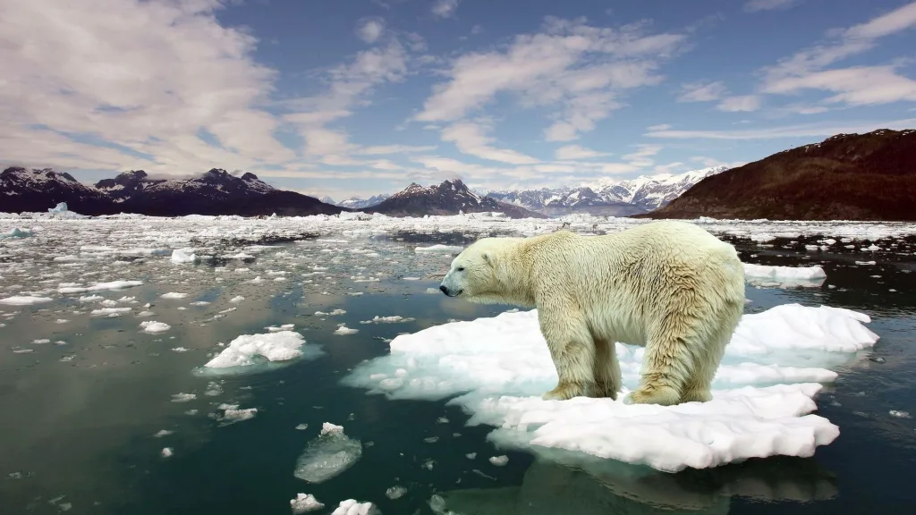 Climate Change: Urgent Action Needed as Global Reports Highlight Alarming Trends 2 image 62 - C J Global Newspaper