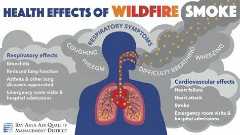 Wildfire Smoke Exposure Linked to Increased Health Risks: New Study 1 image 68 - C J Global Newspaper