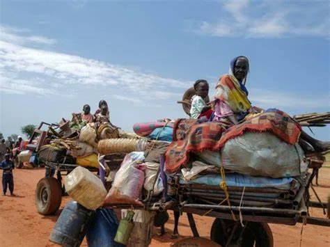 السودان فرار الآلاف إثر تصاعد الاشتباكات من بلدة أم روابة شمال كردفان 5 OIP3457987