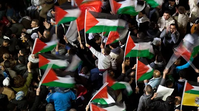 احتفالات في غزة وتعليق من حماس بعد التوصل لاتفاق وقف إطلاق النار 5 p0gd95ql
