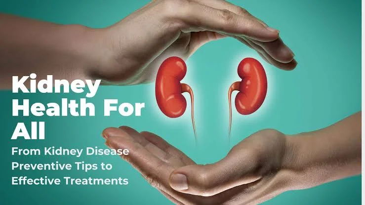 Historic Resolution on Kidney Health Adopted by World Health Assembly 1 IMG 7877 - C J Global Newspaper