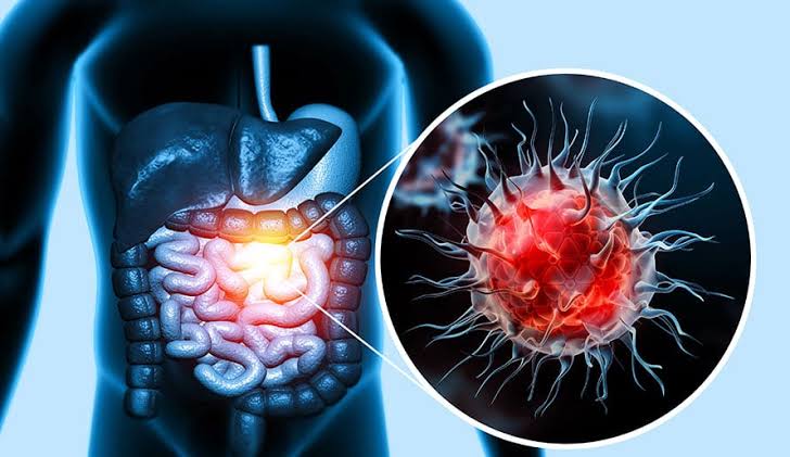 Pancreatic Cancer Risk Linked to Alcohol Consumption, Says New UN Study 4 IMG 7964 - C J Global Newspaper