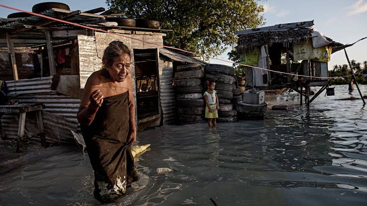 Island Nations: From Climate Change Victims to Living Laboratories of Resilience 3 IMG 7983 - C J Global Newspaper