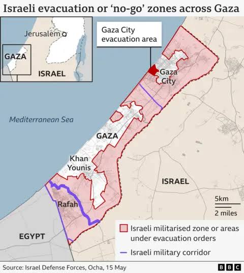 Gaza Humanitarian Crisis Deepens as Aid Shortages Spark Famine Fears 6 IMG 7988 - C J Global Newspaper