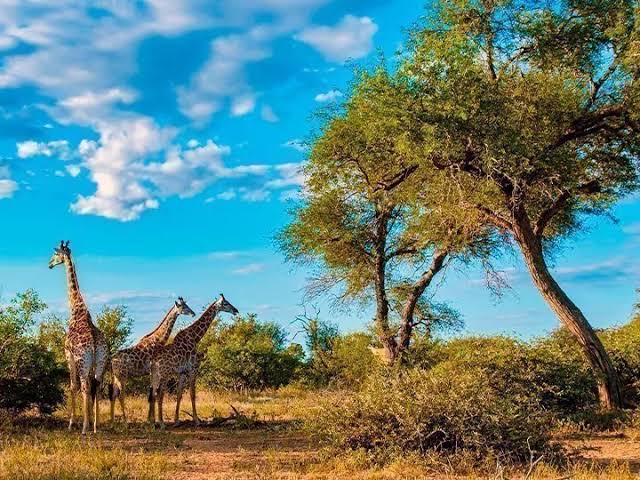 South Africa’s exciting places to visit. 3 IMG 8008 - C J Global Newspaper