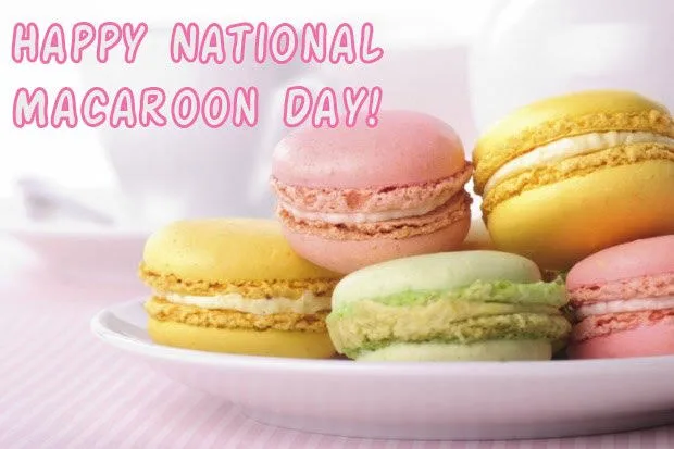 Vibrant Feathers and Sweet Treats: Celebrating World Parrot Day and National Macaroon Day 3 IMG 8197 - C J Global Newspaper
