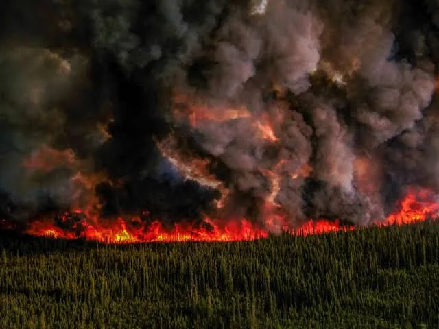 Canada, US Sound Alarm as Wildfire Smoke Reaches Europe, Threatening Air Quality 1 IMG 8455 - C J Global Newspaper