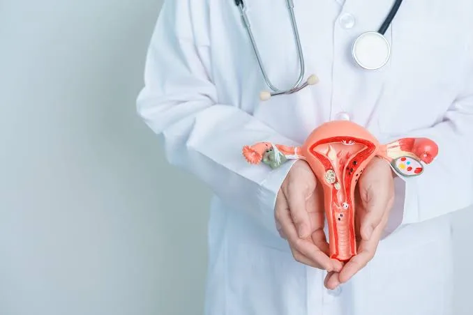 Reclaiming Health After Hysterectomy and Ovarian Removal 3 IMG 8467 - C J Global Newspaper