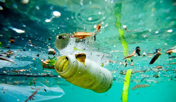 Plastic Pollution in Oceans Reaches Alarming Levels, New Study Reveals 1 IMG 8677 - C J Global Newspaper