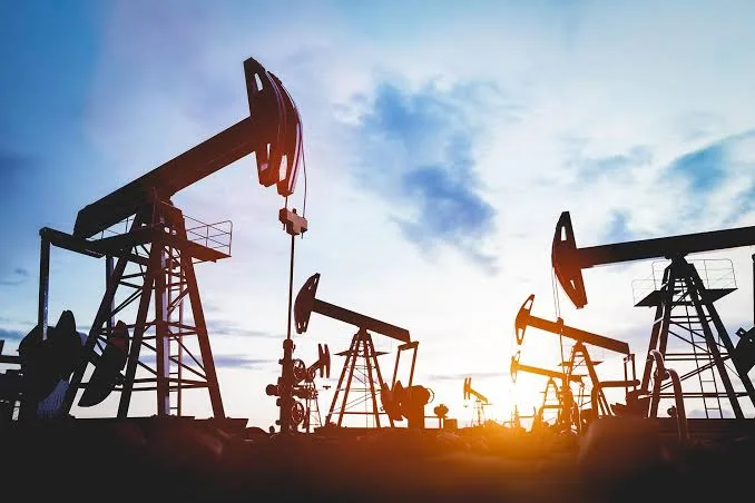 Renewable Energy Set to Surpass Fossil Fuels as World's Primary Electricity Source 2 IMG 8680 - C J Global Newspaper