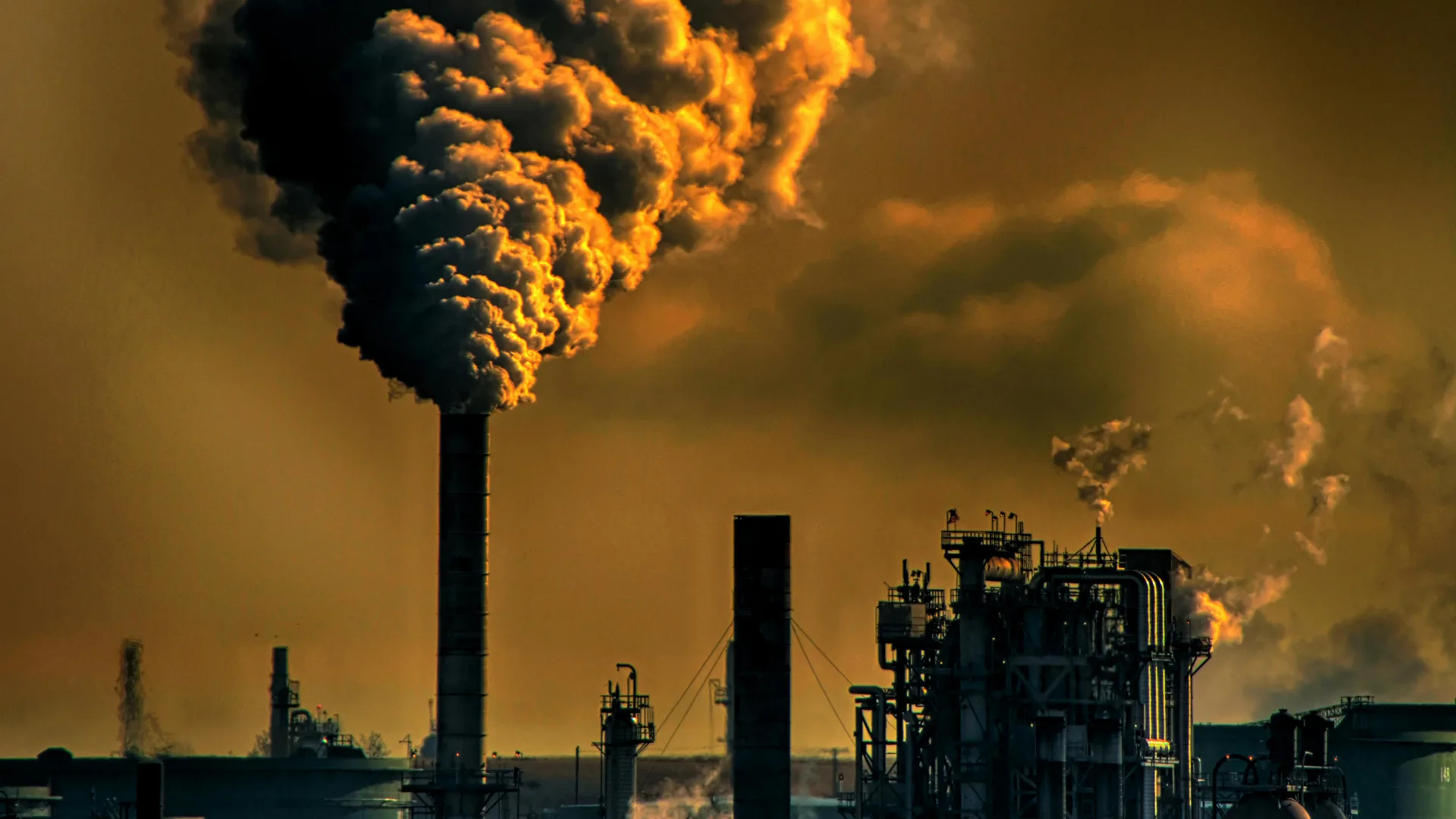 Climate Crisis to Define Young Lives 1 IMG 8722 - C J Global Newspaper