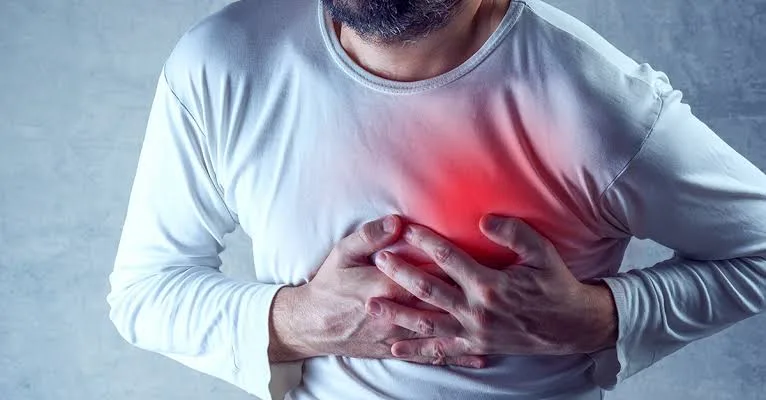 Air Pollution and Heart Disease: Study Reveals Link to Plastic Chemicals 3 IMG 8723 - C J Global Newspaper