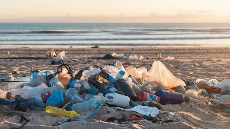 Brazil's Santa Catarina State Aims for Innovative Waste Management 3 IMG 8882 - C J Global Newspaper