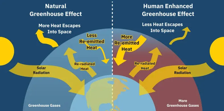 Developing Countries Lead the Charge on Climate Accountability 2 IMG 9128 - C J Global Newspaper