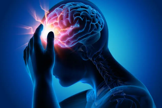 Research:Brain Cells Categorise Odors & Trigger Emotional Responses 1 IMG 9200 - C J Global Newspaper