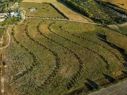 Mexico, Spain,& East Africa Recognised for Ecosystem Restoration Efforts 1 image 2 - C J Global Newspaper